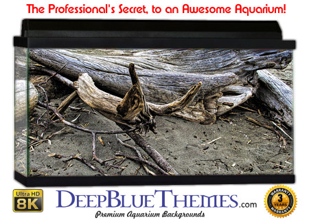 Buy Aquarium Background Driftwood 00056 Aquarium Background