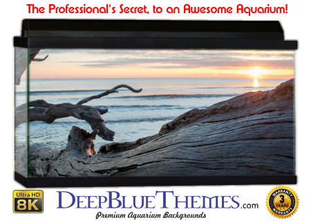 Buy Aquarium Background Driftwood 00057 Aquarium Background