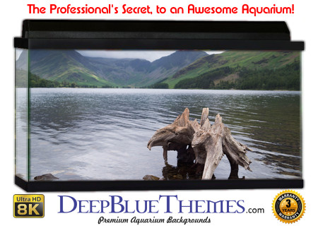 Buy Aquarium Background Driftwood 00058 Aquarium Background