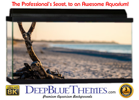 Buy Aquarium Background Driftwood 00059 Aquarium Background
