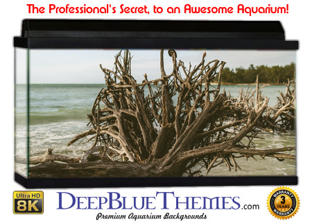 Buy Aquarium Background Driftwood 00060 Aquarium Background