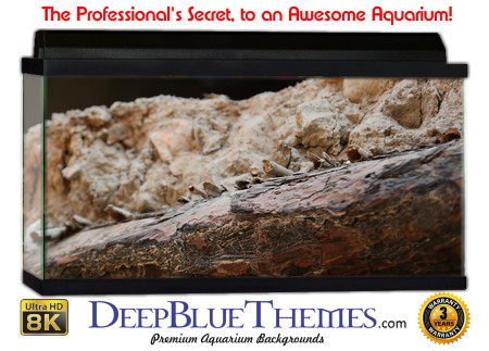 Buy Aquarium Background Driftwood 00062 Aquarium Background