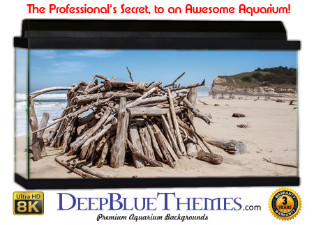 Buy Aquarium Background Driftwood 00063 Aquarium Background
