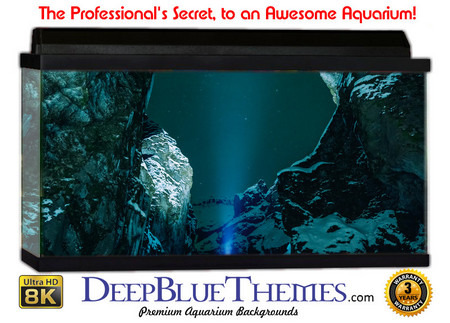 Buy Aquarium Background Fantasy Alone Aquarium Background