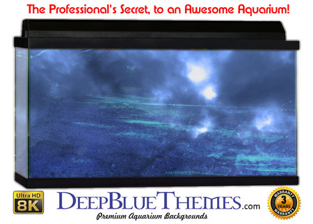 Buy Aquarium Background Fantasy Blue Aquarium Background