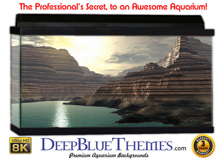 Buy Aquarium Background Fantasy Canyon Aquarium Background
