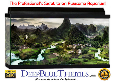 Buy Aquarium Background Fantasy China Aquarium Background