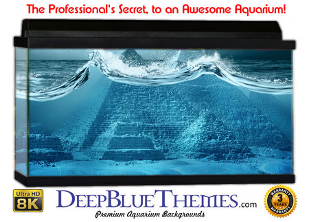 Buy Aquarium Background Fantasy Egypt Aquarium Background