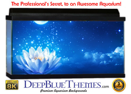 Buy Aquarium Background Fantasy Flower Aquarium Background