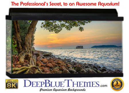 Buy Aquarium Background Fantasy Lake Aquarium Background