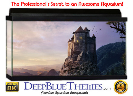 Buy Aquarium Background Fantasy Mist Aquarium Background