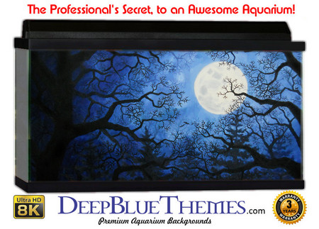 Buy Aquarium Background Fantasy Moon Aquarium Background
