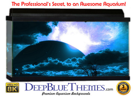 Buy Aquarium Background Fantasy Night Aquarium Background
