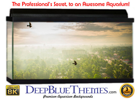 Buy Aquarium Background Fantasy Peace Aquarium Background