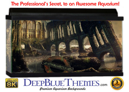 Buy Aquarium Background Fantasy Ruins Aquarium Background