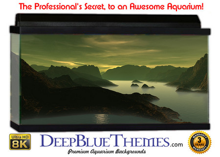 Buy Aquarium Background Fantasy Sunset Aquarium Background