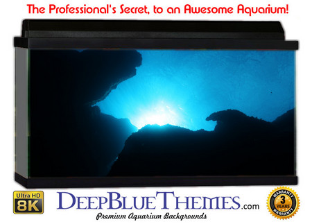 Buy Aquarium Background Favorite Dark Aquarium Background