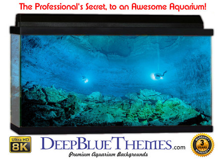Buy Aquarium Background Favorite Dive Aquarium Background