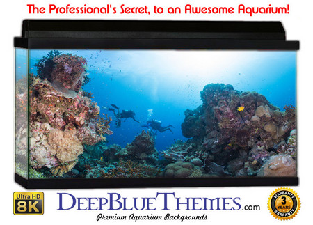 Buy Aquarium Background Favorite Ground Aquarium Background