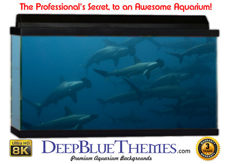 Buy Aquarium Background Favorite Hammer Aquarium Background