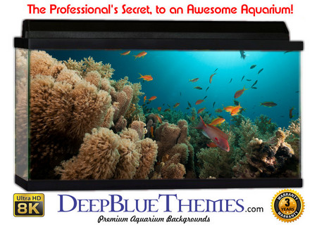 Buy Aquarium Background Favorite Landscape Aquarium Background