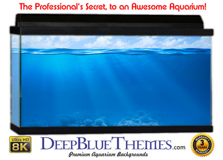 Buy Aquarium Background Favorite Level Aquarium Background