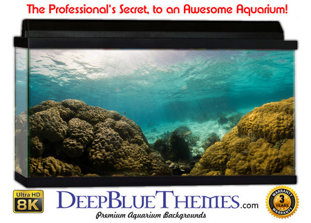 Buy Aquarium Background Favorite Mountains Aquarium Background