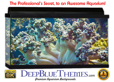 Buy Aquarium Background Favorite Pastel Aquarium Background