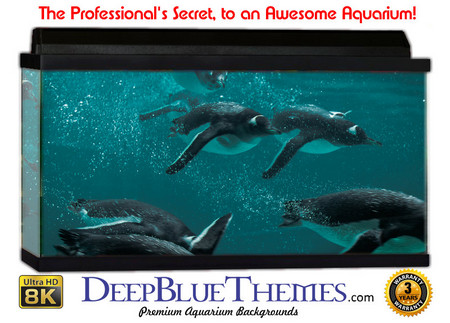 Buy Aquarium Background Favorite Pen Aquarium Background