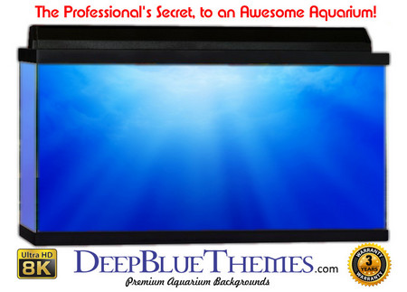 Buy Aquarium Background Favorite Ray Aquarium Background