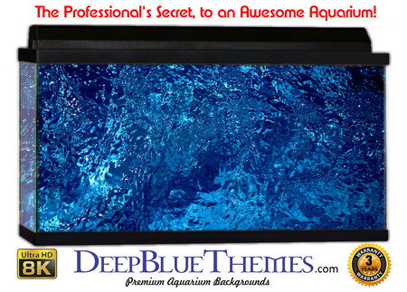 Buy Aquarium Background Favorite Splash Aquarium Background