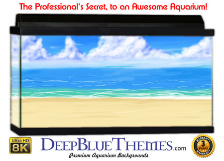 Buy Aquarium Background Flat Beach Aquarium Background