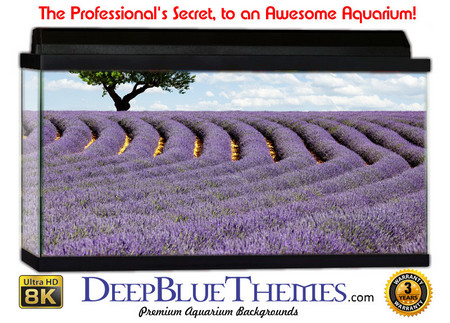 Buy Aquarium Background Flowers Alone Aquarium Background