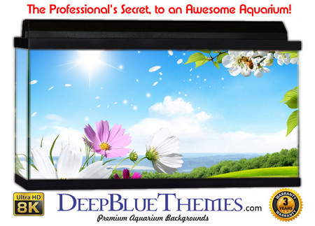 Buy Aquarium Background Flowers Art Aquarium Background