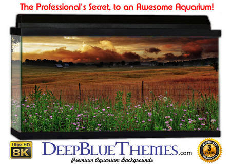 Buy Aquarium Background Flowers Farm Aquarium Background