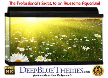 Buy Aquarium Background Flowers Field Aquarium Background