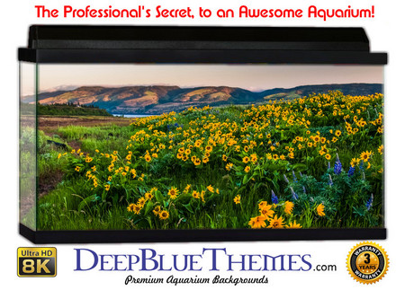 Buy Aquarium Background Flowers Hills Aquarium Background