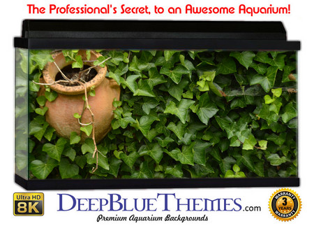Buy Aquarium Background Flowers Ivy Aquarium Background
