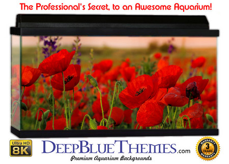 Buy Aquarium Background Flowers Red Aquarium Background