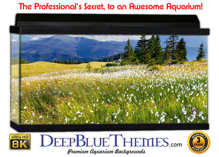Buy Aquarium Background Flowers Stroll Aquarium Background