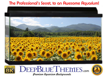 Buy Aquarium Background Flowers Sunfield Aquarium Background