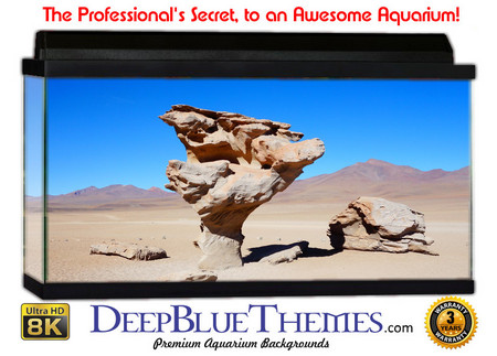 Buy Aquarium Background Formations Alien Aquarium Background
