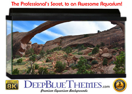 Buy Aquarium Background Formations Arch Aquarium Background