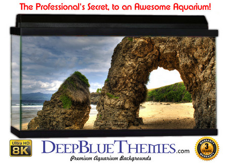Buy Aquarium Background Formations Beach Aquarium Background