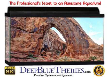 Buy Aquarium Background Formations Bow Aquarium Background