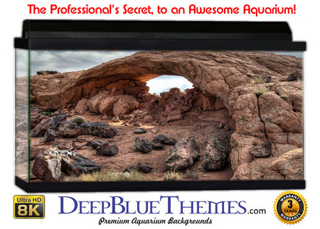 Buy Aquarium Background Formations Bridge Aquarium Background