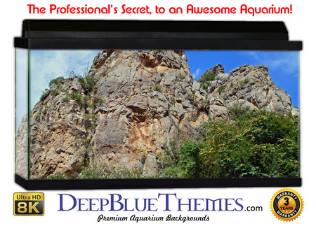Buy Aquarium Background Formations Castle Aquarium Background