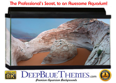 Buy Aquarium Background Formations Cut Aquarium Background
