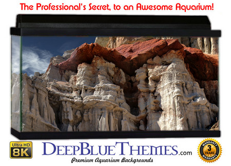 Buy Aquarium Background Formations Lime Aquarium Background