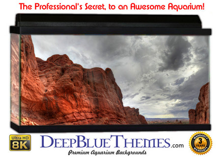 Buy Aquarium Background Formations Majestic Aquarium Background